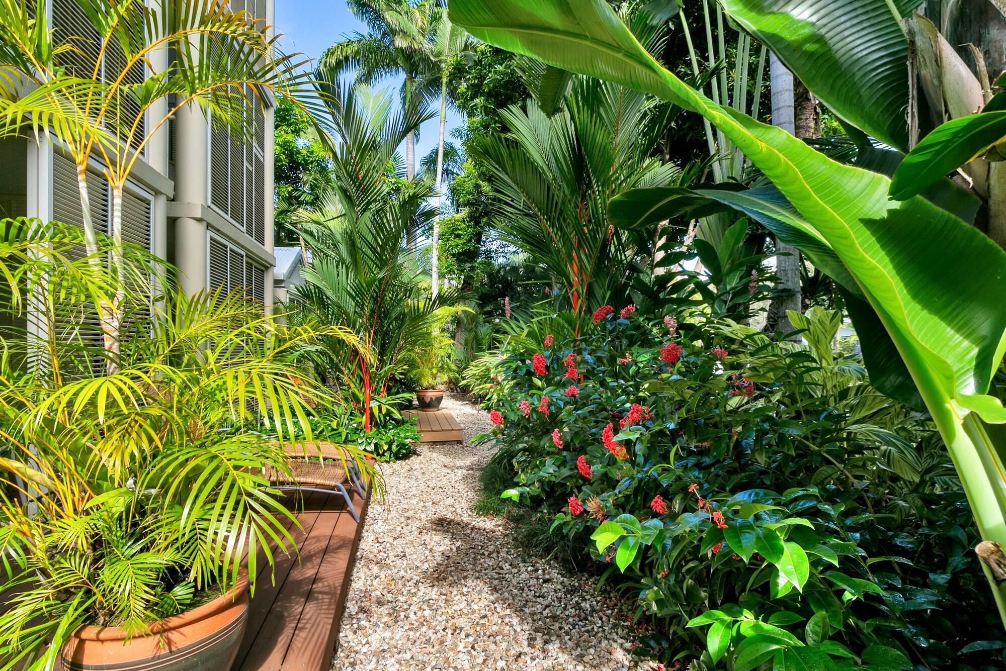 Port Douglas Apartments - Adults Only Oasis Zewnętrze zdjęcie